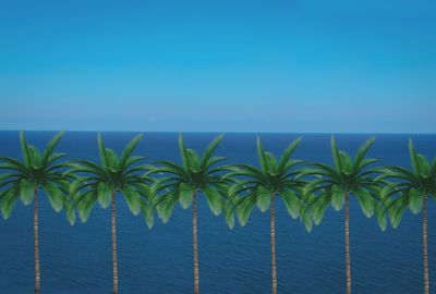 Palm trees by sea against clear blue sky