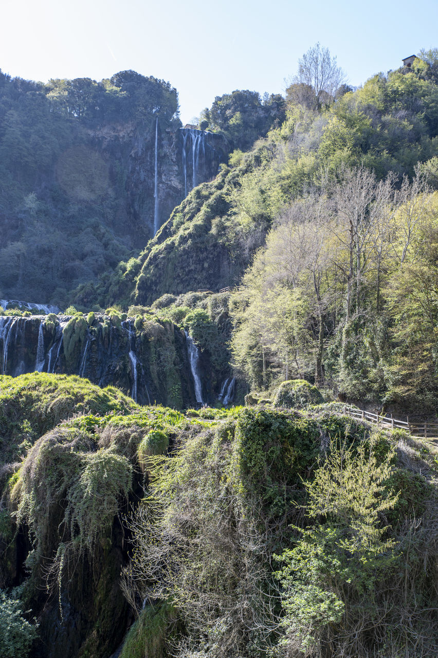 plant, scenics - nature, tree, beauty in nature, environment, nature, land, mountain, landscape, no people, sky, coniferous tree, pine tree, rock, pinaceae, tranquility, forest, non-urban scene, wilderness, tranquil scene, cliff, outdoors, travel, day, water, travel destinations, pine woodland, mountain range, waterfall, green, terrain, ridge, growth, tourism, valley, clear sky, idyllic