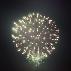 Low angle view of firework display