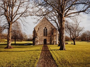 Footpath leading to bare trees