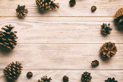 High angle view of leaves on table