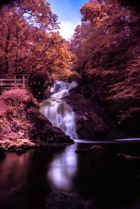Scenic view of waterfall in forest during autumn