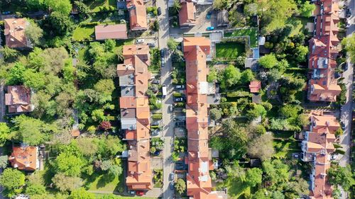 High angle view of trees and buildings in city