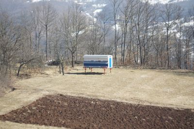 Empty bench on field against trees