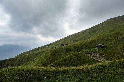 Scenic view of grassy field against sky