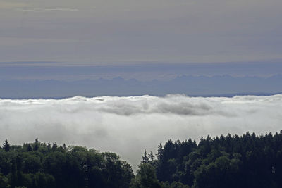 Scenic view of river against sky