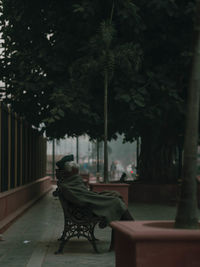 View of an sitting on bench in park