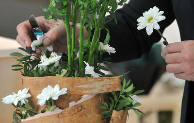 Close-up of hand holding flowers