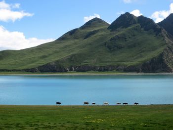 Scenic view of green landscape and mountains against sky