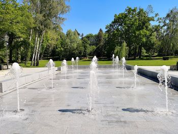 Fountain by trees against sky