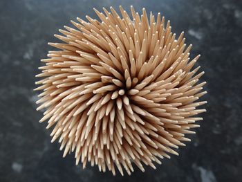 Close-up of cocktail sticks