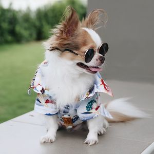 Close-up of dog looking away