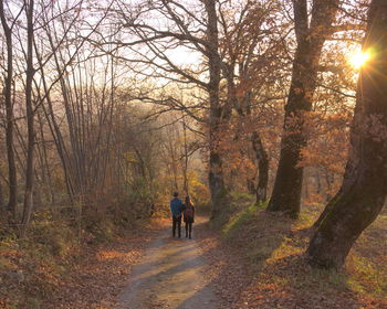 Rear view of man and woman standing amidst trees in forest on sunny day