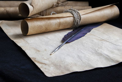 Ancient writing. a sheet of paper on which lies a bird's feather for writing letters and scrolls.