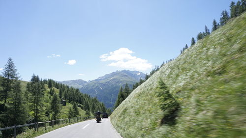 Rear view of person walking on road amidst trees against sky