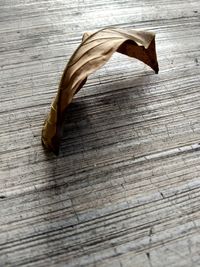 High angle view of leaf od wooden table