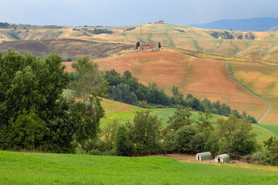 Scenic view of agricultural field