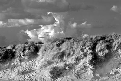 Panoramic shot of land against sky