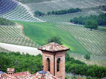 View of agricultural landscape