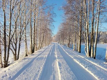 Bare trees on snow covered landscape