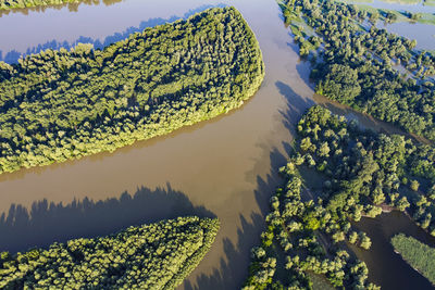 Aerial view of the danube river and its floodplain in serbia and croatia