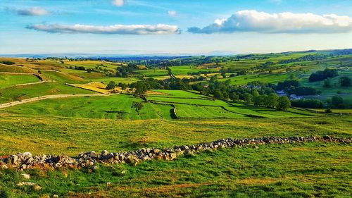 Malhamdale north yorkshire showing remains of ancient field system with pendle hill in lancashire.