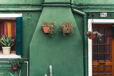 Potted plant against building