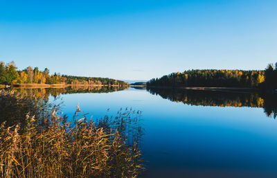 Scenic view of lake against clear blue sky