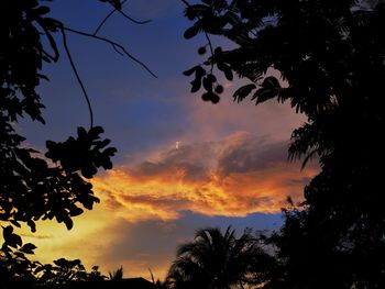 Low angle view of silhouette trees against sky at sunset