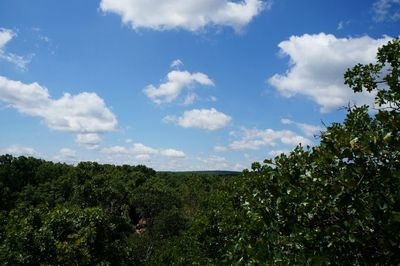 Trees on field against cloudy sky