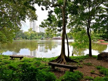 Scenic view of lake by trees against sky