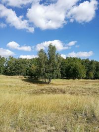 Trees on field against cloudy sky