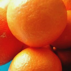 Close-up of food