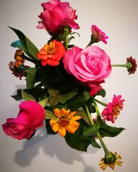 Close-up of roses blooming in vase