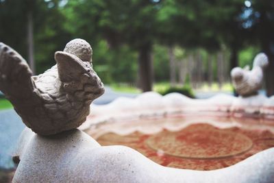 Close-up of statue against trees