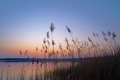 Scenic view of lake against sky during sunset