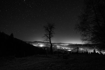 Illuminated trees on field against sky at night