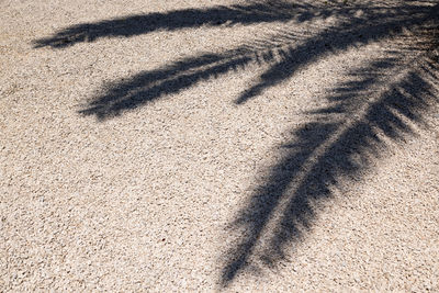 High angle view of shadow on sand