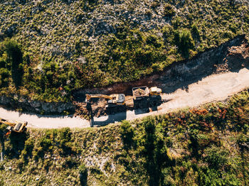 High angle view of trees and plants