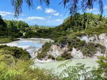 Scenic view of river amidst trees against sky