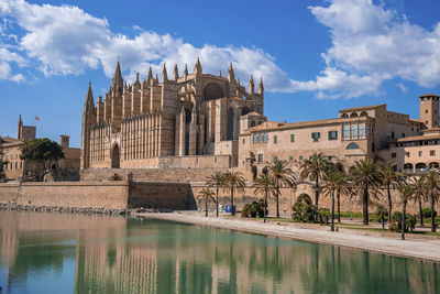 Palm trees growing at canal waterside by la seu cathedral against blue sky in old town