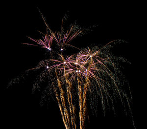 Low angle view of firework display at night