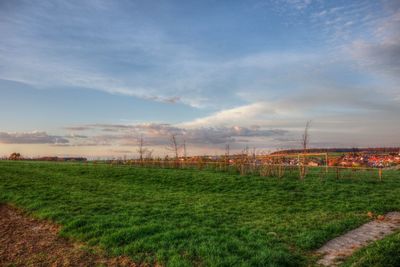 Scenic view of grassy field against cloudy sky