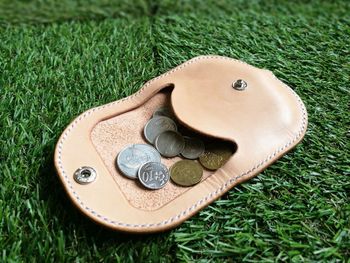 High angle view of coins in purse on grassy field