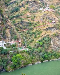 High angle view of trees on cliff