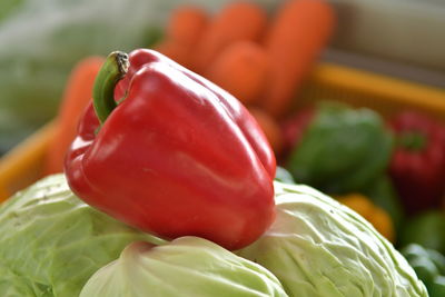 Close-up of bell pepper