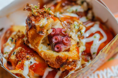 Close-up of takoyaki octopus japanese food served in plate