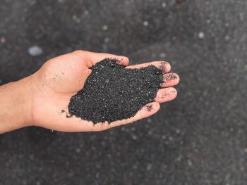 Close-up of hand holding dirt