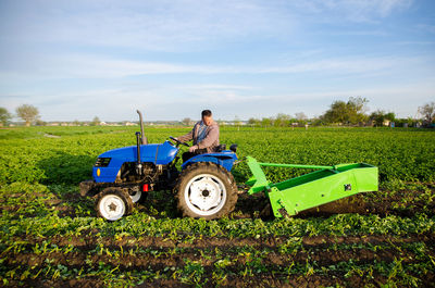 A tractor with a digging unit digs up land vegetables. the use of modern technology on the farm.