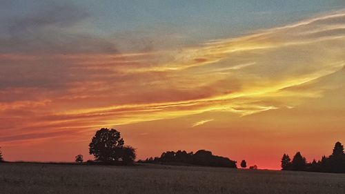 Silhouette trees on field against orange sky